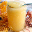 Wild Irish Sea Moss Gel
